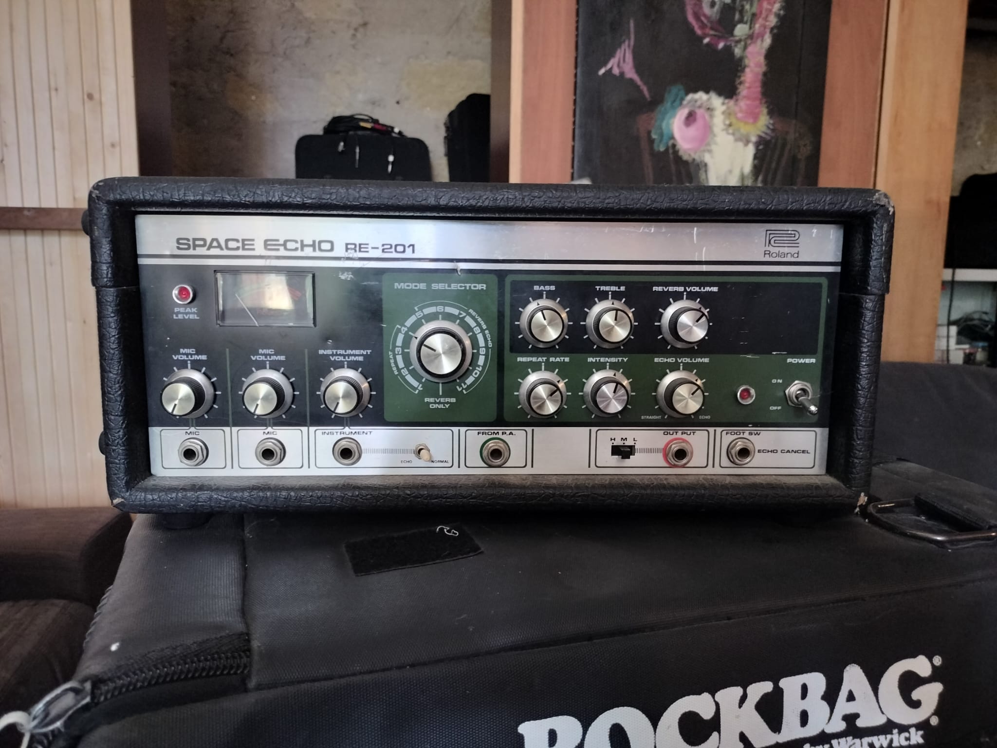 Roland Space Écho RE 201