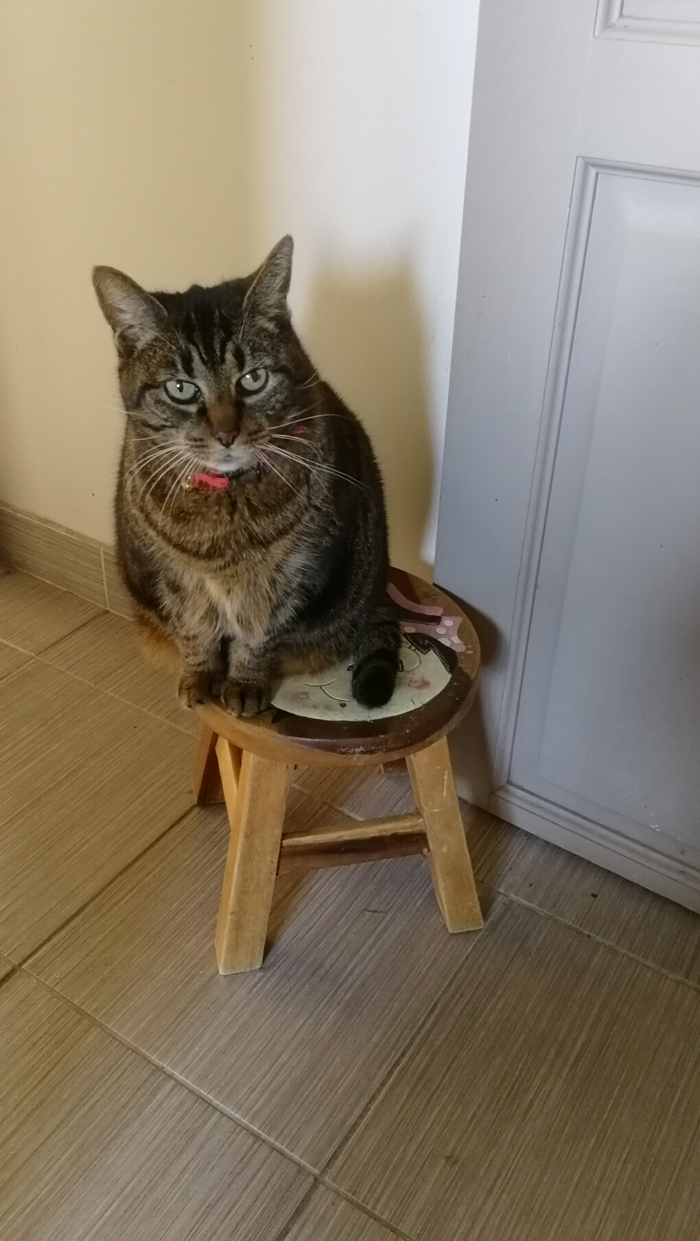 6413715.jpg 6413715.jpg