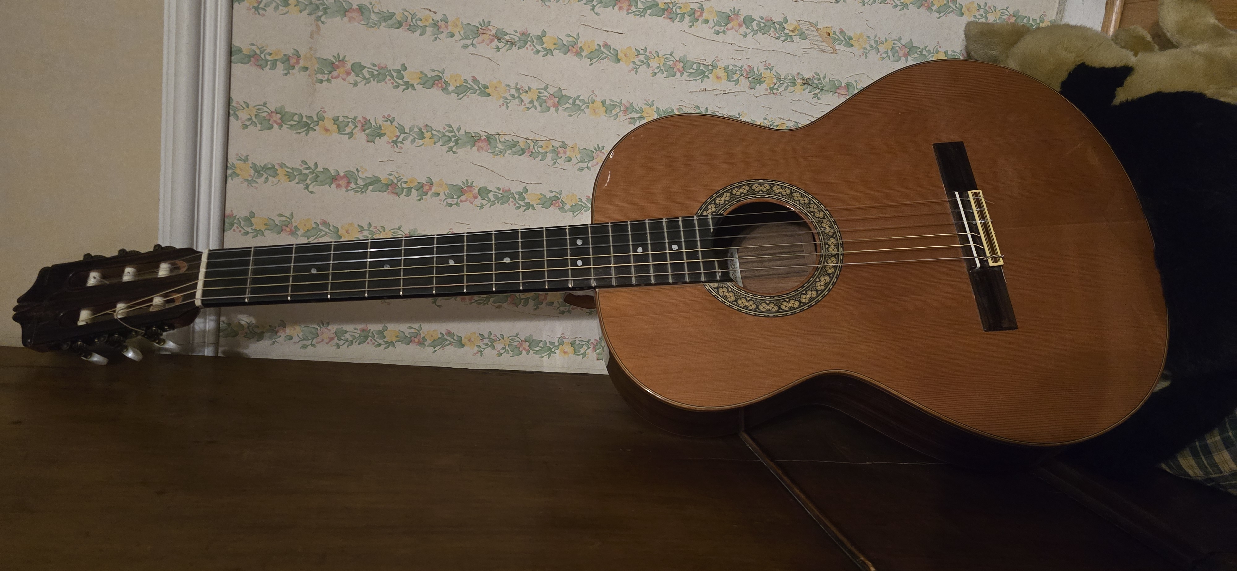 Guitare classique Alhambra 5P