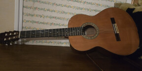 Guitare classique Alhambra 5P