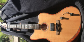 Vends Jazzmaster Acoustasonic