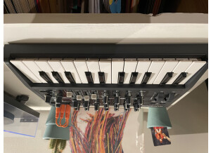Arturia MicroBrute (32212)