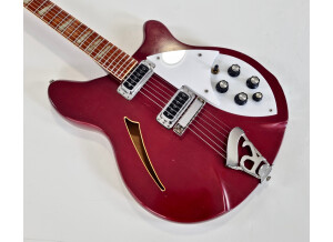 Rickenbacker 360 (28379)