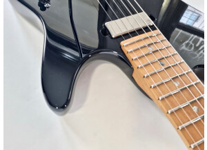 Rickenbacker 360 (79719)