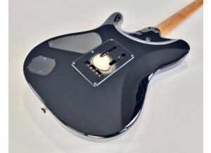 Rickenbacker 360 (80011)