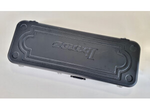 Rickenbacker 360 (68417)