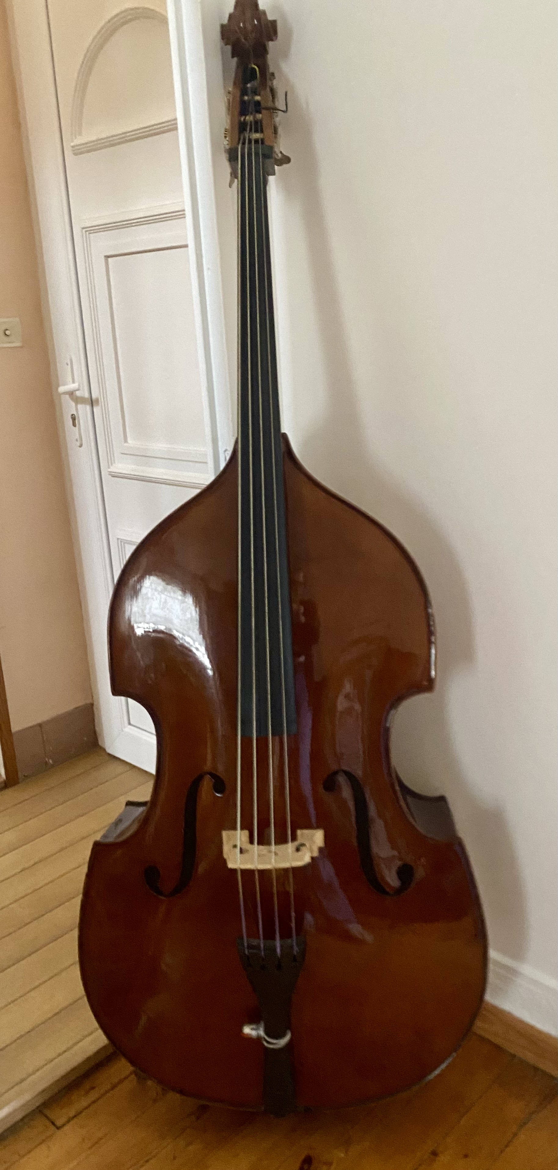 Contrebasse 3/4 STENTOR STUDENT B1951-3
