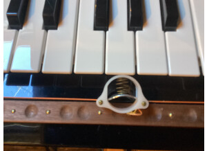 Asaden Ondomo (45946)