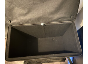 Fender Mustang III (3901)