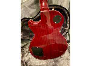 Epiphone Slash Appetite Les Paul Standard (29012)