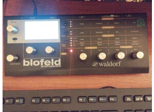 blo