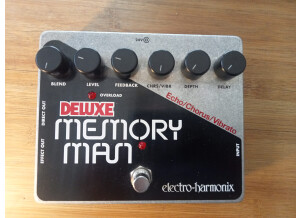 Electro-Harmonix Deluxe Memory Man XO (87134)