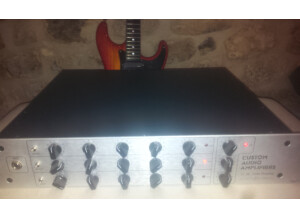 Custom Audio Electronics 3 + SE (40663)