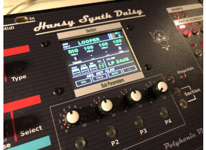Hansy Synth Daisy (45429)