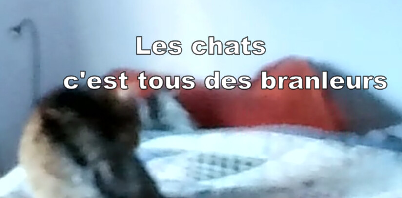 6420052.png 6420052.png