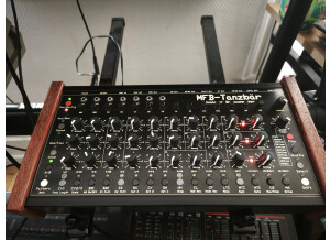 M.F.B. Tanzbär (67997)