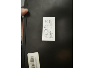 M.F.B. Tanzbär (69015)