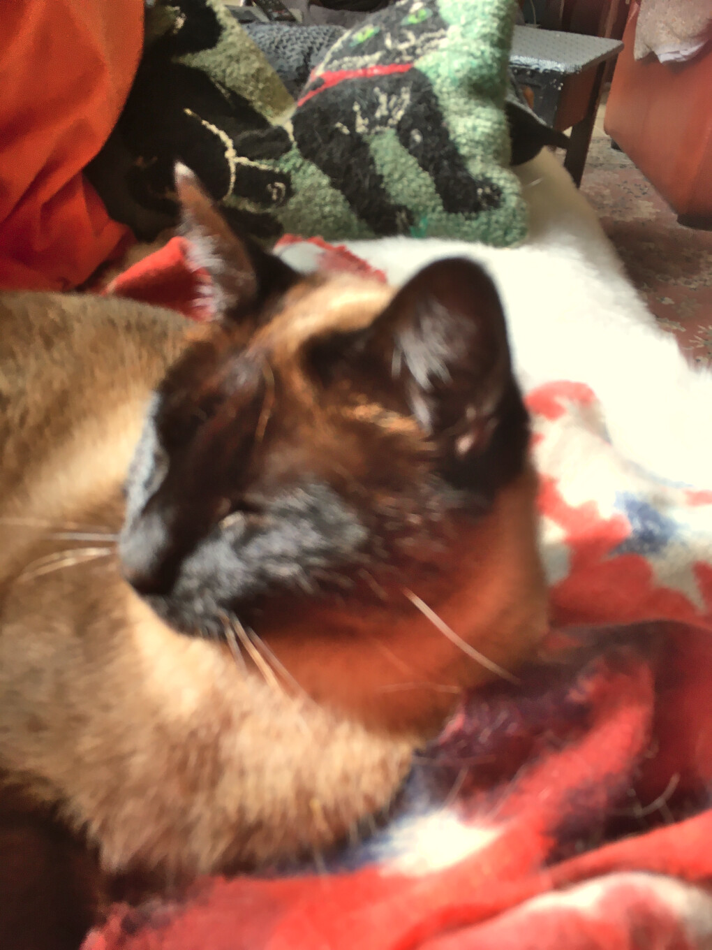 6421905.png 6421905.png