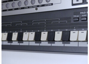 Roland MC-307 (22052)