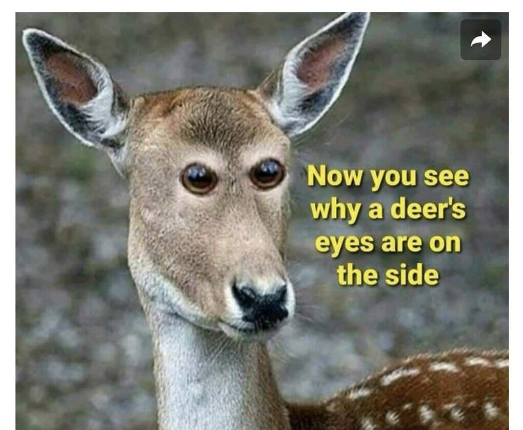 6422807.jpg 6422807.jpg