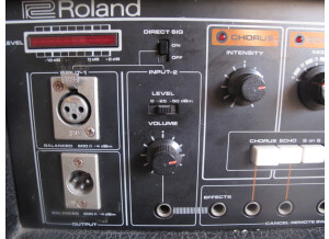 Roland RE-501 Chorus Echo (26047)