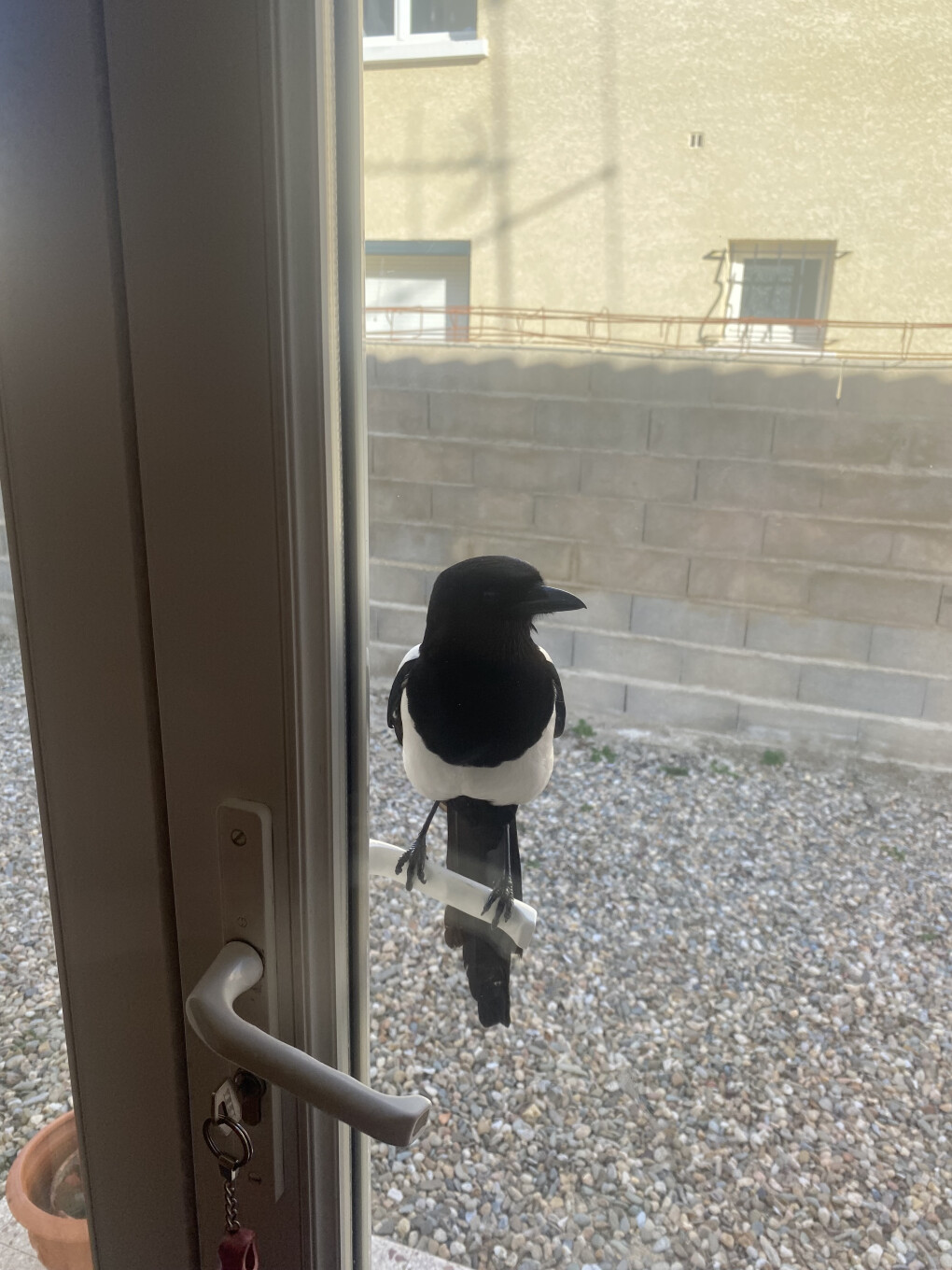 6423311.jpg 6423311.jpg