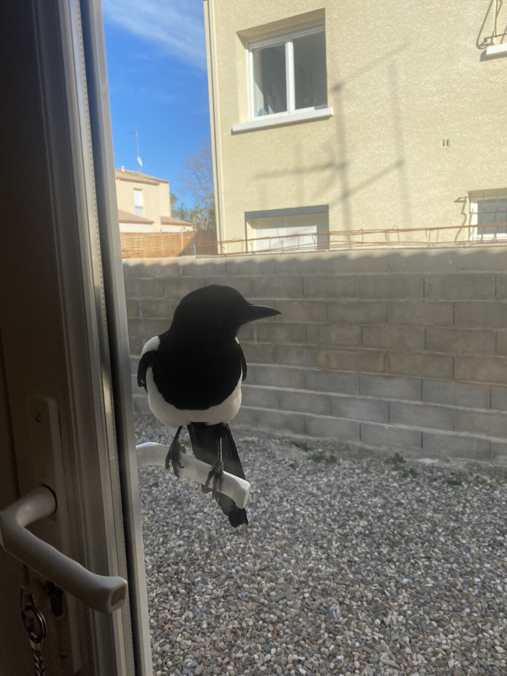 6423312.jpg 6423312.jpg