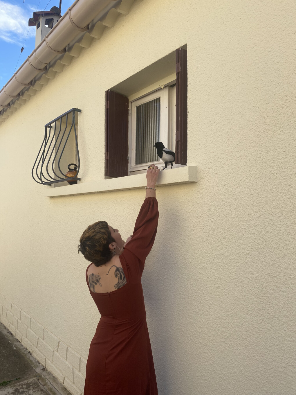 6423314.jpg 6423314.jpg