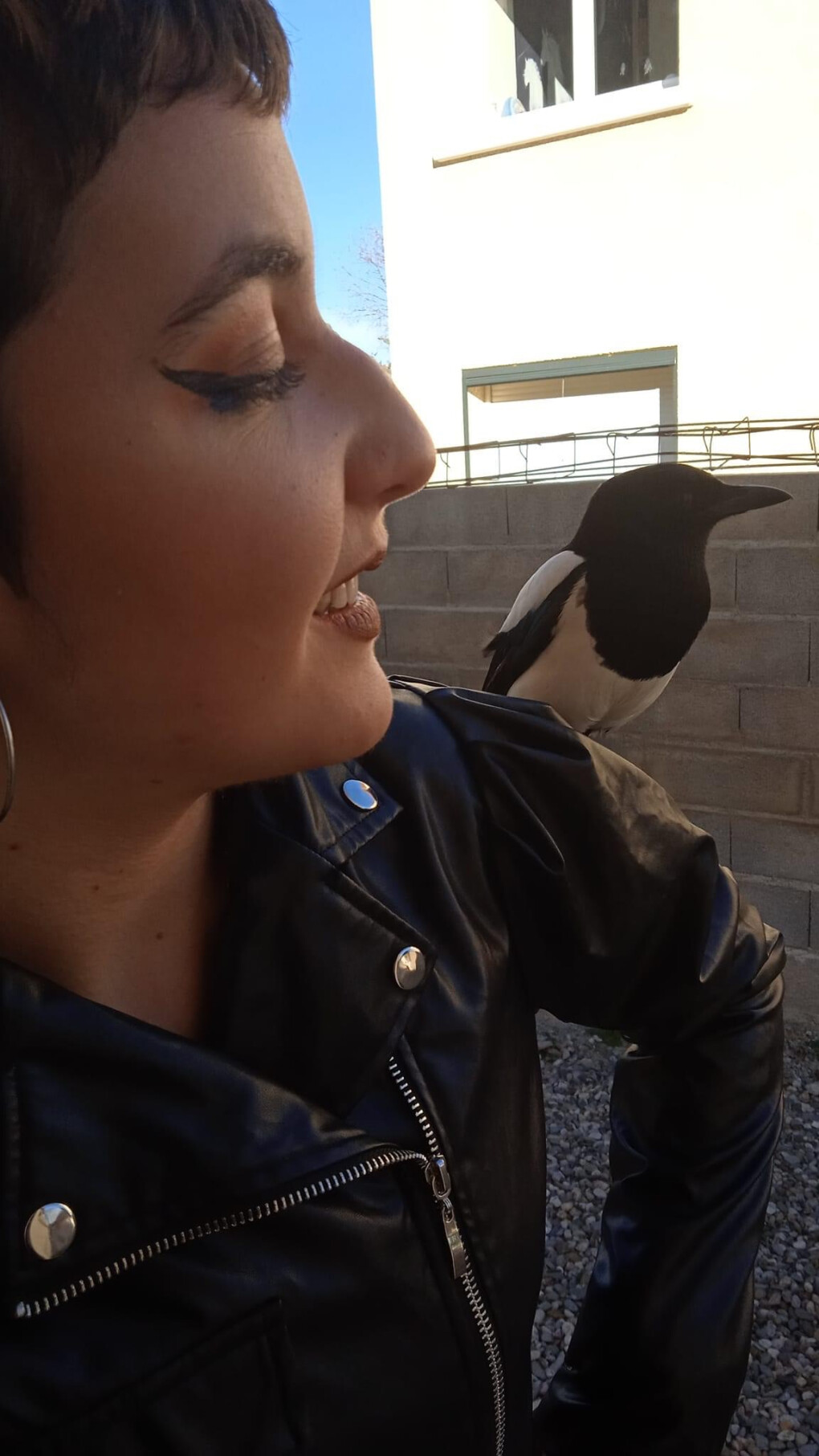 6423315.jpg 6423315.jpg