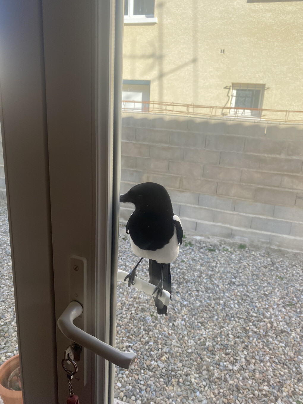 6423316.jpg 6423316.jpg