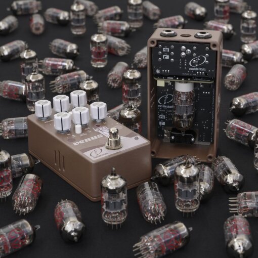 Venuss Lifestyle Venuss Lifestyle