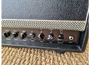 Friedman Amplification JJ Junior Jerry Cantrell Signature (91096)