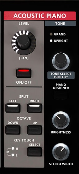 detail acoustic piano