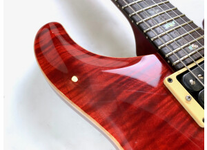 PRS Custom 24 Birds 10-Top (25289)