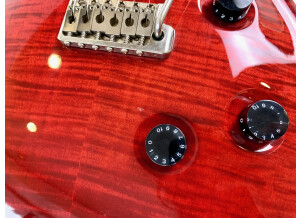 PRS Custom 24 Birds 10-Top (97177)
