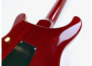 PRS Custom 24 Birds 10-Top (54485)