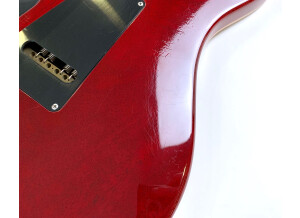 PRS Custom 24 Birds 10-Top (2032)