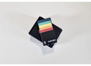 Walrus Audio Canvas Mono (28244)