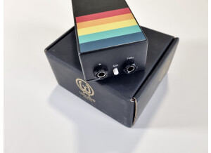 Walrus Audio Canvas Mono (6575)