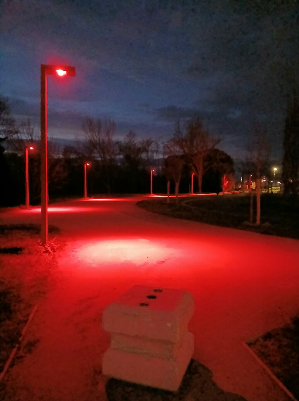 6424144.jpg 6424144.jpg