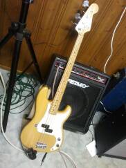 Peavey Basic 112