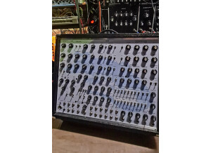 NRSynth Alligator 20231030 154248