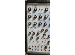 NRSynth Alligator 20231105 144706