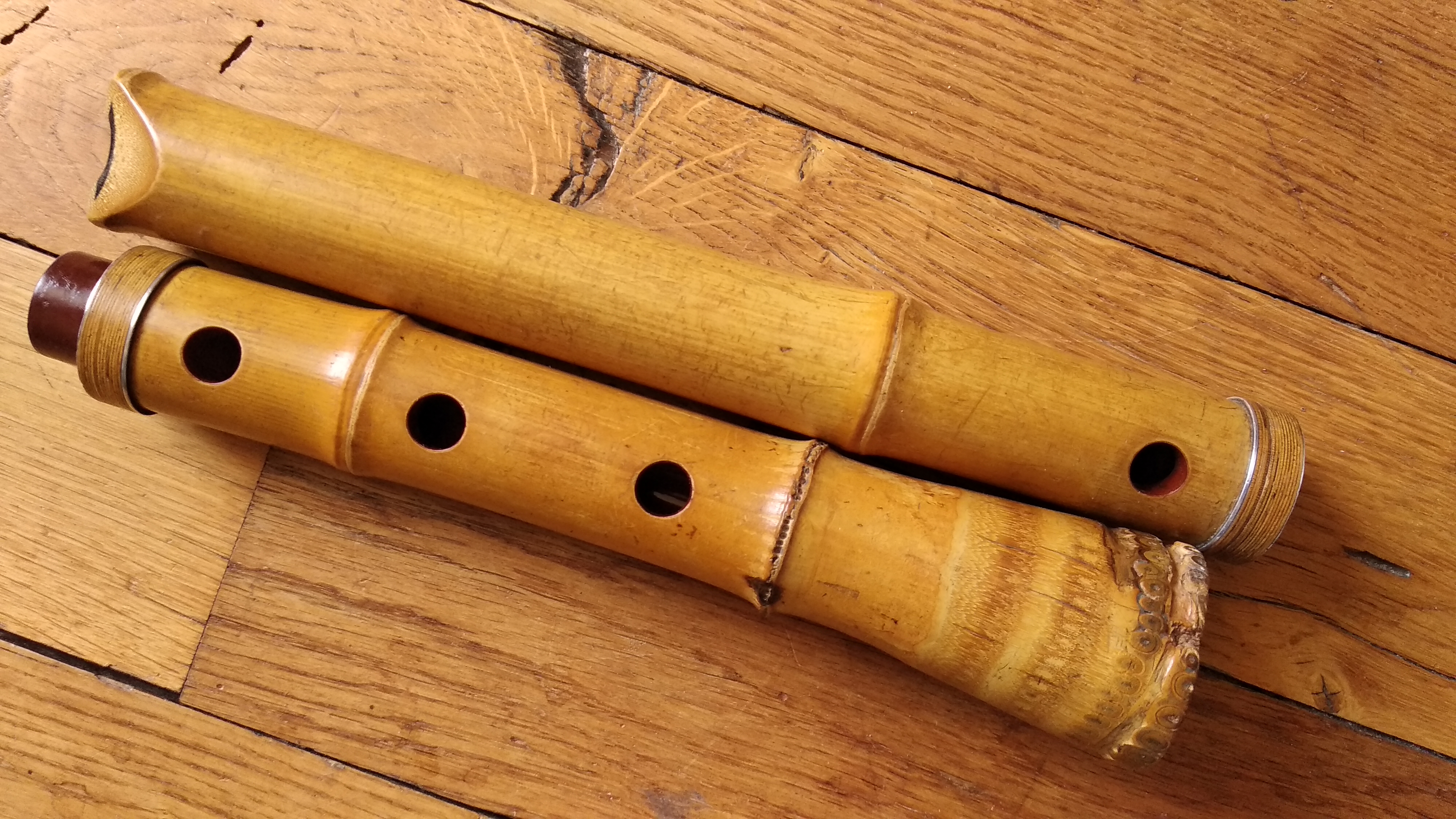 IMG 20250307 114439
