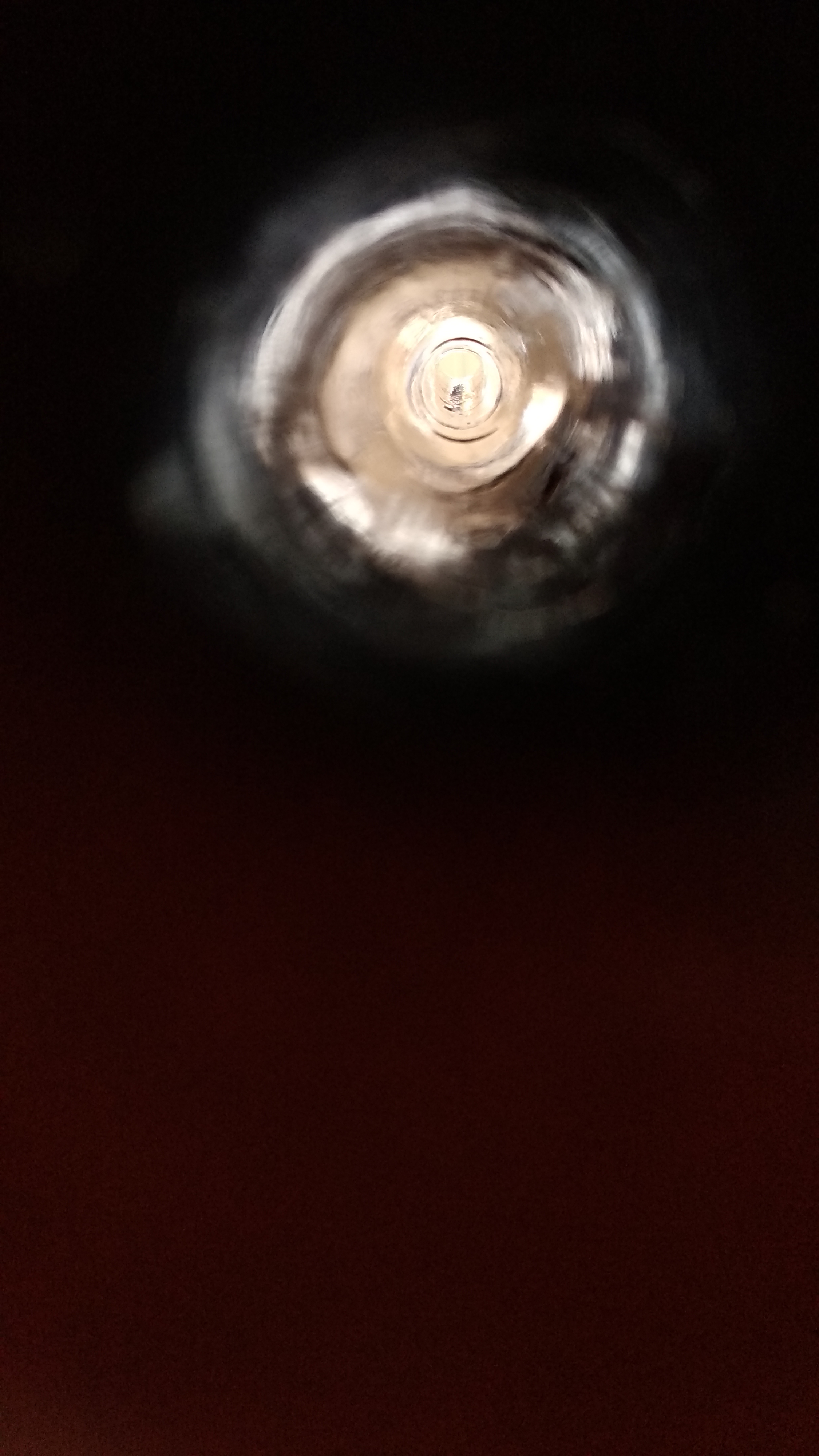IMG 20250307 114833