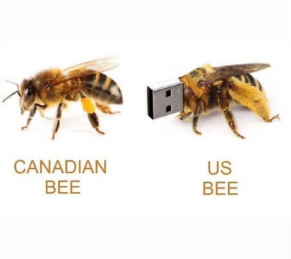 6426218.jpg 6426218.jpg