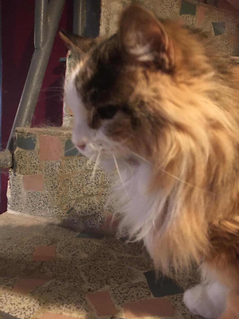 6426219.jpg 6426219.jpg