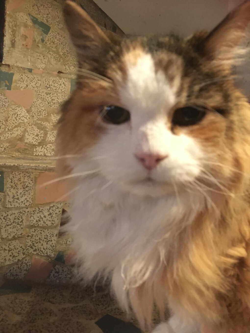 6426220.jpg 6426220.jpg