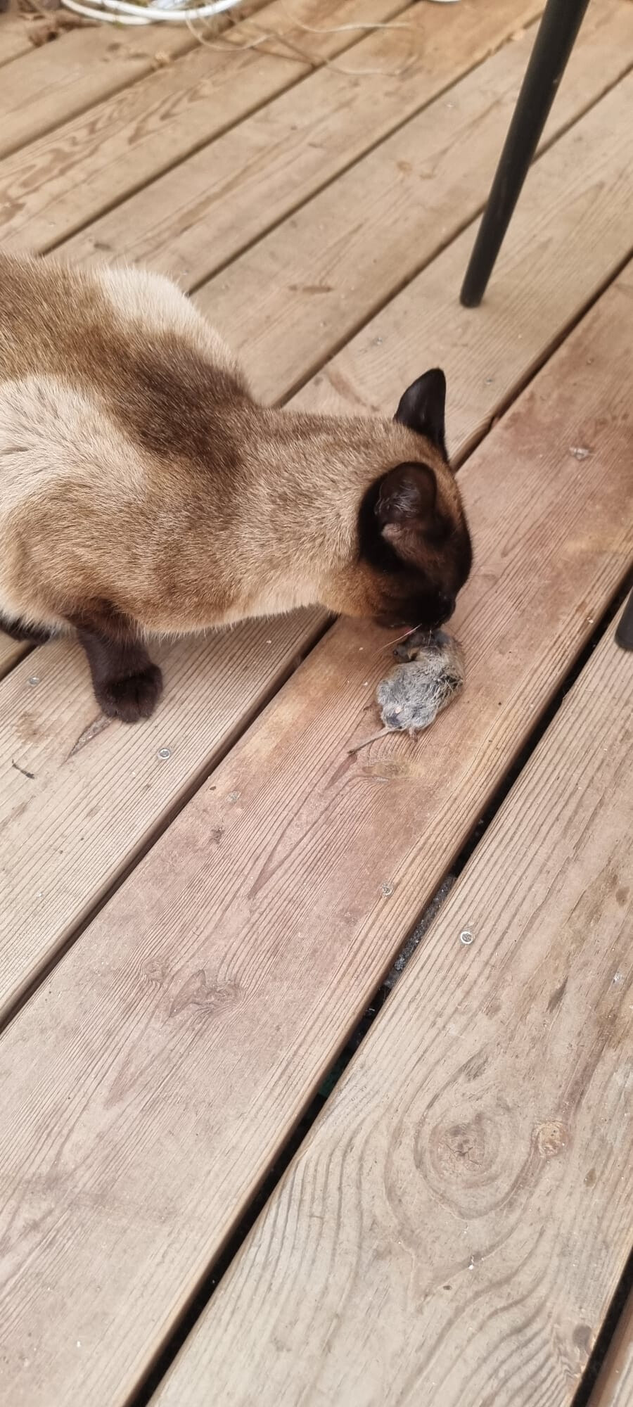 6426221.jpg 6426221.jpg