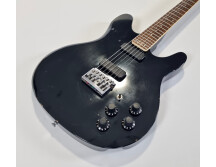 Rickenbacker 220 Hambourg (68391)
